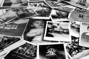 Jak zrobić drzewo genealogiczne